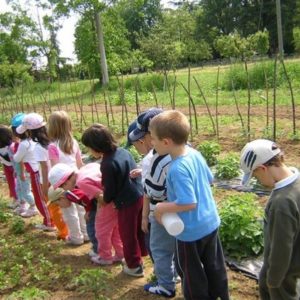 fattoria didattica orto biologico